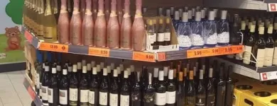 Immagine 26 azienda LIDL SCHWEIZ Textil/Bekleidung in Brig-Glis VS
