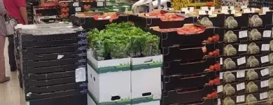 Immagine 30 azienda LIDL SCHWEIZ Textil/Bekleidung in Brig-Glis VS