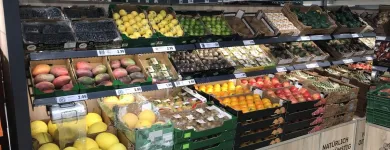 Immagine 51 azienda LIDL SCHWEIZ Textil/Bekleidung in Cham ZG
