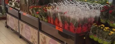Immagine 4 azienda LIDL SCHWEIZ Textil/Bekleidung in Brig-Glis VS