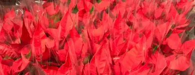 Unternehmen 20 Bild LIDL SCHWEIZ Textil/Bekleidung am Spreitenbach AG