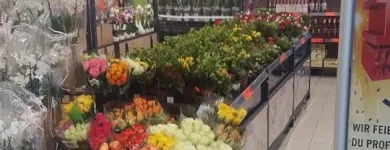 Immagine 12 azienda LIDL SCHWEIZ Textil/Bekleidung in Brig-Glis VS