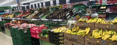 Immagine 5 azienda LIDL SCHWEIZ Textil/Bekleidung in Romanshorn TG