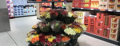 Immagine 6 azienda LIDL SCHWEIZ Textil/Bekleidung in Cham ZG