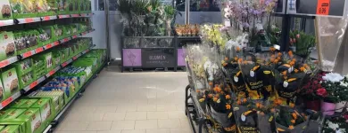 Entreprises 36 image LIDL SCHWEIZ Textil/Bekleidung dans Niederlenz AG