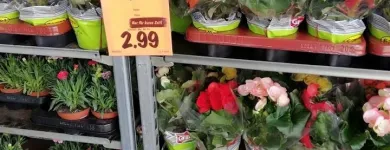 Unternehmen 28 Bild LIDL SCHWEIZ Textil/Bekleidung am Sursee LU