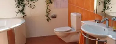 Immagine 3 azienda LIPS ERNST AG Zimmerarbeiten, Holzbauarbeiten in Zurich ZH