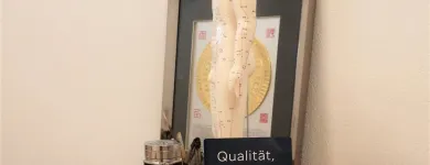 Immagine 15 azienda MEDI-YI GESUNDHEITSPRAXIS GMBH SCHAFFHAUSEN Ärzte in Schaffhausen SH