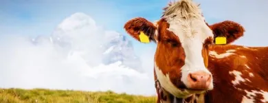 Unternehmen 6 Bild NOTARIAT DR. RETO ERDIN Soziale Einrichtungen/Fürsorge am Wohlen Ag AG