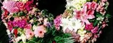 Unternehmen 8 Bild ORCHIDEEN WEBER GMBH Garten/Pflanzen am Basel BL