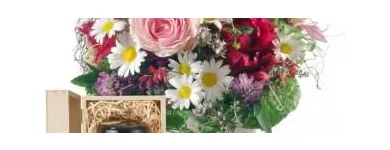 Unternehmen 9 Bild ORCHIDEEN WEBER GMBH Garten/Pflanzen am Basel BL