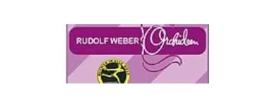 Unternehmen 4 Bild ORCHIDEEN WEBER GMBH Garten/Pflanzen am Basel BL