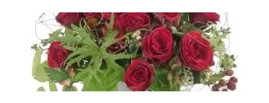 Unternehmen 5 Bild ORCHIDEEN WEBER GMBH Garten/Pflanzen am Basel BL