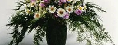 Unternehmen 2 Bild ORCHIDEEN WEBER GMBH Garten/Pflanzen am Basel BL