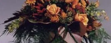 Unternehmen 3 Bild ORCHIDEEN WEBER GMBH Garten/Pflanzen am Basel BL