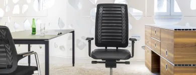 Immagine 3 azienda OTTO MATHYS BÜROMÖBEL AG Sicherheitsfirmen in Lenzburg AG