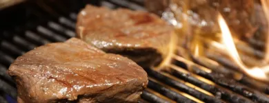 Unternehmen 23 Bild PALAVRION GRILL UND BAR ZÜRICH Weinstuben am Zurich ZH