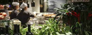 Unternehmen 1 Bild PALAVRION GRILL UND BAR ZÜRICH Weinstuben am Zurich ZH