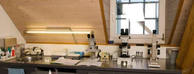 Entreprises 1 image PFARRER KONTAKTLINSEN AG Optiker dans Bern BE
