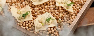 Unternehmen 9 Bild RAGAZ CATERING Veranstalter am Bern BE