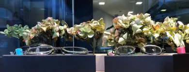 Unternehmen 5 Bild RAMSTEIN OPTIK AG Optiker am Basel BL