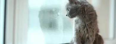 Unternehmen 3 Bild RDL GLAS Glasereien, Glasnotdienste am Suhr AG