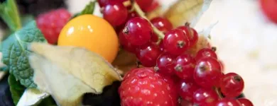 Unternehmen 8 Bild RENAISSANCE ZURICH TOWER HOTEL Veranstaltungen/Messen am Zurich ZH