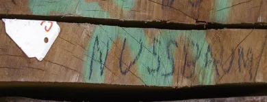 Unternehmen 3 Bild RENGGLI SCHREINEREI AG Zimmerarbeiten, Holzbauarbeiten am Basel BL