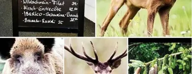 Entreprises 2 image RESTAURANT MARCELLINO PANE E VINO Nahrungs-/Genussmittel dans Zürich ZH