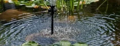 Entreprises 11 image RESTAURANT OBERES TRIEMLI Hotel-/Gastronomiegewerbe dans Zürich ZH