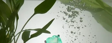 Entreprises 24 image RÒNDINA SA Schmuck/Uhren/Edelmetallwaren dans Lugano TI
