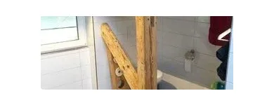 Unternehmen 5 Bild RONY WIGERT KOMPETENT IN HAUS UND GARTEN Gartenpflege, Baumpflege am Dussnang TG
