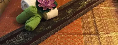 Unternehmen 6 Bild SABAYDEE TRADITIONELLE THAI MASSAGE Sonstige Erotische Dienstleistungen am Zurich ZH