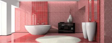 Entreprises 2 image SANITÄR FEIGENWINTER Kundendienste für Heizungs- und Sanitärtechnik dans Reinach Bl BI