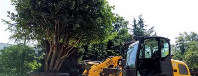 Unternehmen 4 Bild SCHEUNER GARTENBAU AG Land-/Forstwirtschaft/Fischerei am Bern BE