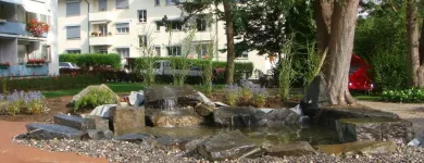 Unternehmen 10 Bild SCHEUNER GARTENBAU AG Land-/Forstwirtschaft/Fischerei am Bern BE