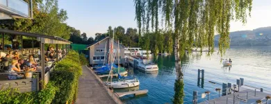 Immagine 7 azienda SEEHOTEL DELPHIN AG Werbewirtschaft/Verkaufsförderung in Meisterschwanden AG