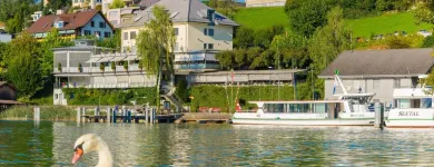 Immagine 1 azienda SEEHOTEL DELPHIN AG Werbewirtschaft/Verkaufsförderung in Meisterschwanden AG