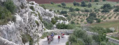 Unternehmen 4 Bild SICILIA BIKE Transport/Verkehr/Tourismus am Mellingen AG