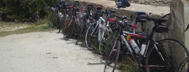 Unternehmen 8 Bild SICILIA BIKE Transport/Verkehr/Tourismus am Mellingen AG