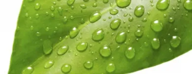 Unternehmen 2 Bild STC UMWELT AG Entsorgung, Verwertung, Beseitigung, Reinigung am Kölliken AG