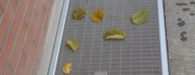 Entreprises 4 image STOREN FUST AG Rolladenarbeiten, Sonnenschutzarbeiten dans Reinach Bl BI
