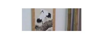 Immagine 5 azienda TCM MANDARIN GMBH Ärzte in Zürich ZH