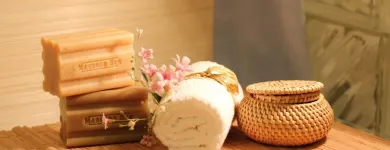 Entreprises 12 image THAI MASSAGE REGION BASEL Massageinstitute dans Münchenstein BL