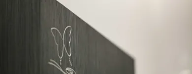 Entreprises 9 image THOMAS RUBIN AG BESTATTUNGENDIENST Soziale Einrichtungen/Fürsorge dans Spiez BE