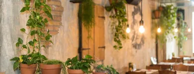 Immagine 22 azienda US-MEX SCHAFFHAUSEN Mexikanische Restaurants in Schaffhausen SH