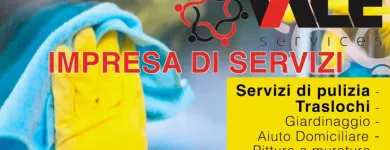 Entreprises 15 image VALE SERVICES SAGL Umzugsunternehmen dans Lugano TI