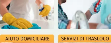 Entreprises 16 image VALE SERVICES SAGL Umzugsunternehmen dans Lugano TI
