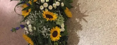Unternehmen 1 Bild VERT'TIGE Nahrungs-/Genussmittel am Neuchâtel NE