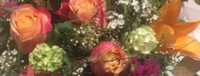 Unternehmen 5 Bild VERT'TIGE Nahrungs-/Genussmittel am Neuchâtel NE